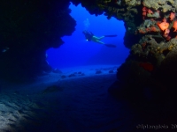 008 : catégorie ambiance, photo de la sélection présentée au jury