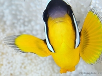 010-20250324_10h10mn04s_r3 : photo réalisée durant l'entraînement