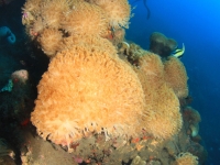 010-20250325_10h20mn09s : photo réalisée durant l'entraînement