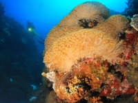 010-20250325_10h22mn30s : photo réalisée durant l'entraînement