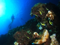 010-20250325_10h36mn54s : photo réalisée durant l'entraînement