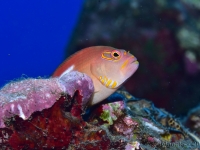 010-20250327_09h18mn14s : photo réalisée durant l'entraînement