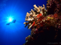 010-20250328_09h57mn33s : photo réalisée durant l'entraînement