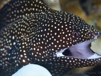 010-20250328_14h37mn35s : photo réalisée durant l'entraînement