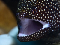 010-20250328_14h39mn11s : photo réalisée durant l'entraînement