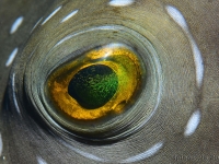 010-20250328_14h49mn49s : photo réalisée durant l'entraînement