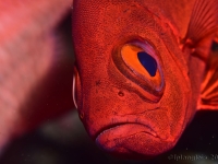 010-20250328_14h57mn18s : photo réalisée durant l'entraînement