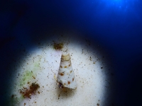 010-20250330_11h08mn55s-r3 : photo réalisée durant l'entraînement