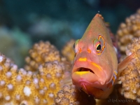 010-20250330_11h15mn55s : photo réalisée durant l'entraînement