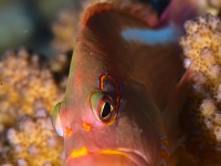 010-20250330_11h17mn24s : photo réalisée durant l'entraînement