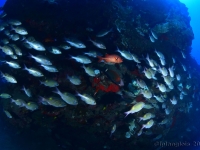 010-20250330_14h59mn26s : photo réalisée durant l'entraînement