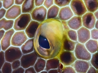 010-20250401_10h49mn42s : photo réalisée durant l'entraînement