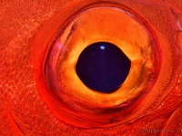 010-20250401_10h52mn57s : photo réalisée durant l'entraînement