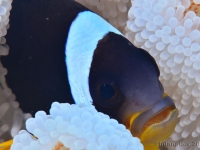 010-20250401_11h02mn40s : photo réalisée durant l'entraînement