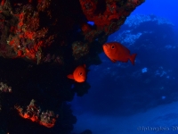 010-20250401_14h53mn10s : photo réalisée durant l'entraînement