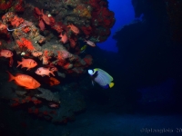 010-20250401_14h56mn46s : photo réalisée durant l'entraînement